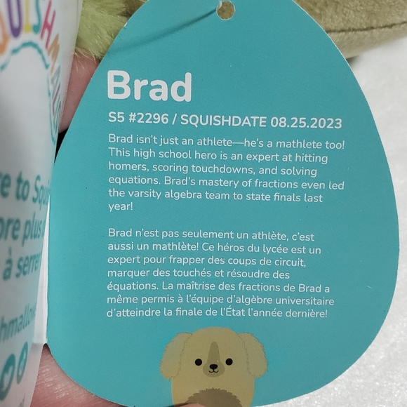 NWT Brad, 5" Green Dog Squishmallows - Picture 6 of 7